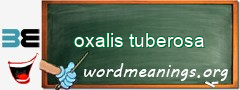 WordMeaning blackboard for oxalis tuberosa